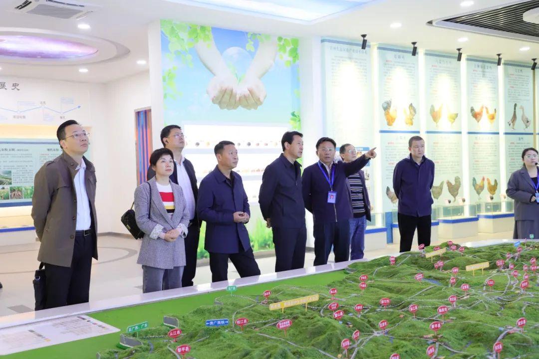 5531ef19-ef84-430d-b0ff-0bdbc4fa82c1.jpg