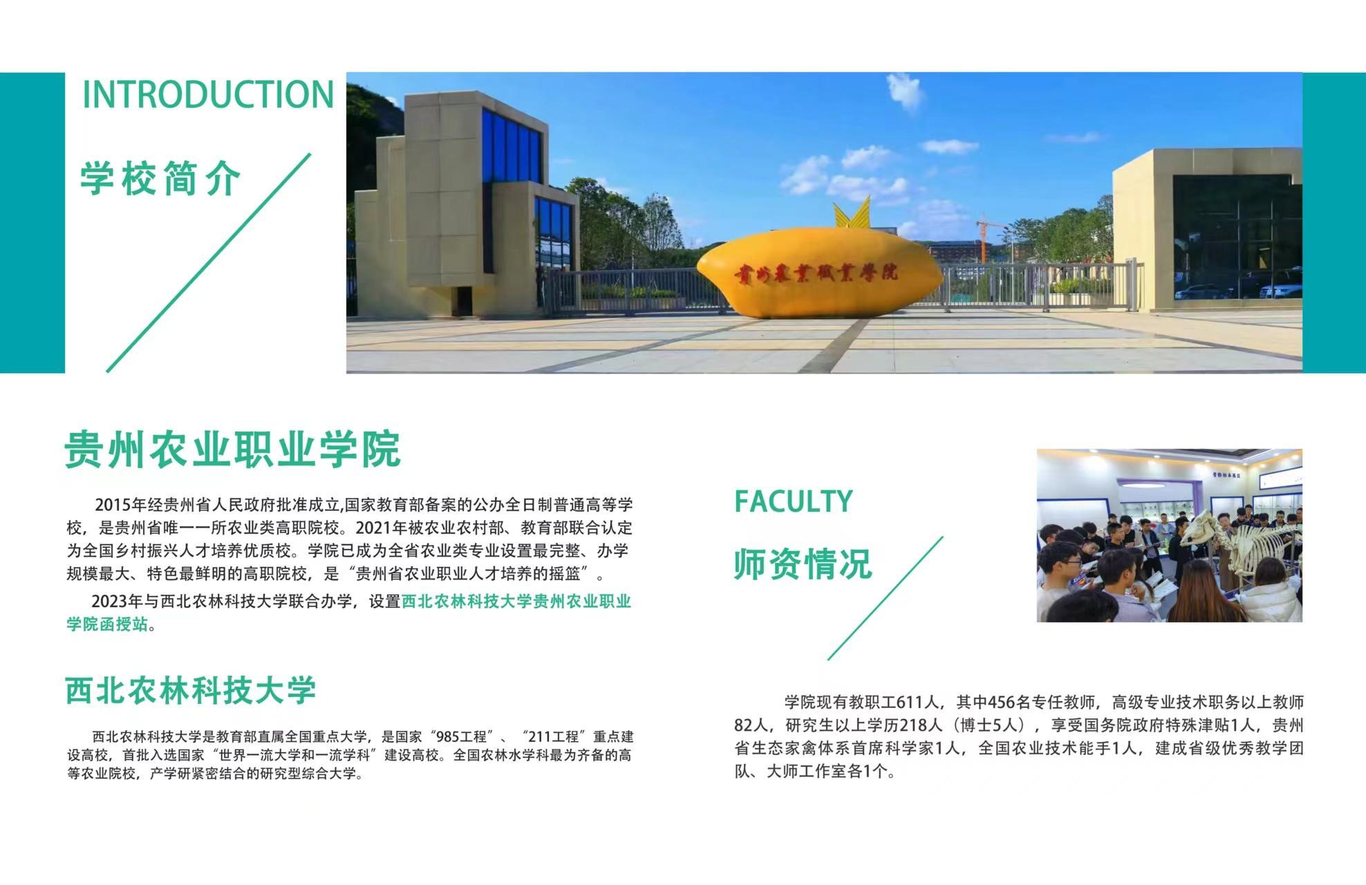 aa6be504-2cb8-4fd2-a085-6f9220f5f1df.jpg