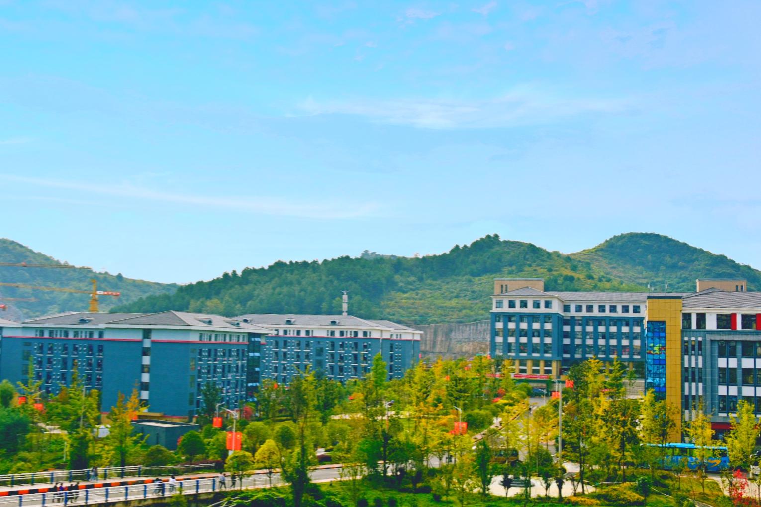 3581bf46-7b98-49c0-9754-f5211abd412b.jpg